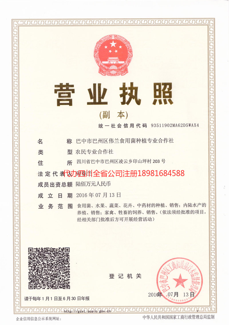 济南济南伟兰食用菌种植专业合作社